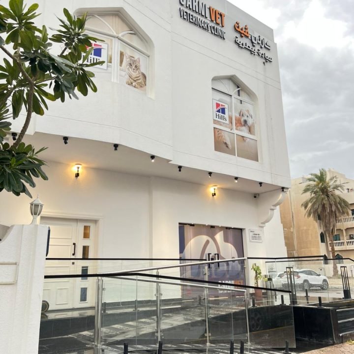 WhatsApp Image 2026-04-02 at 11.35.52 PM (1)