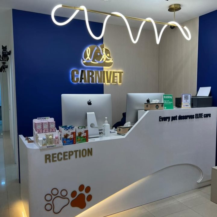 WhatsApp Image 2026-04-02 at 11.35.54 PM