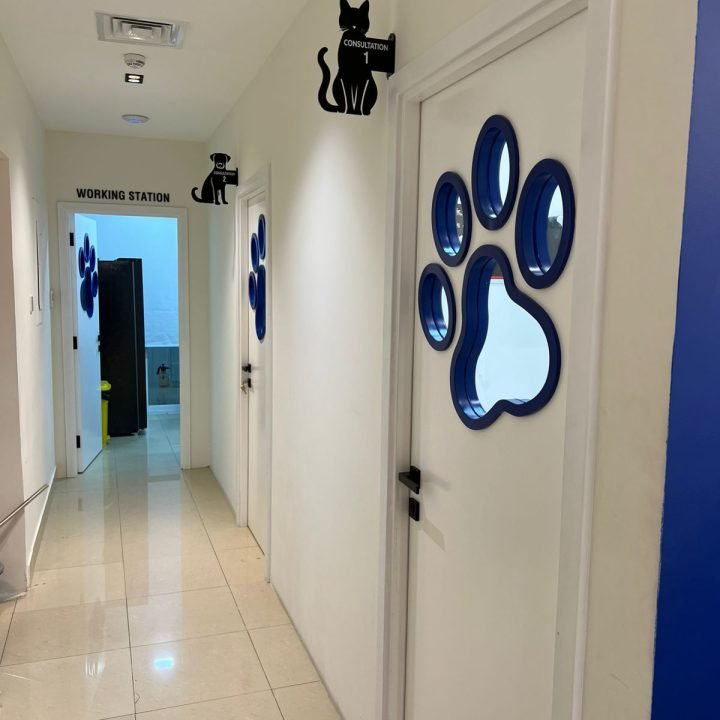 WhatsApp Image 2026-04-02 at 11.35.56 PM