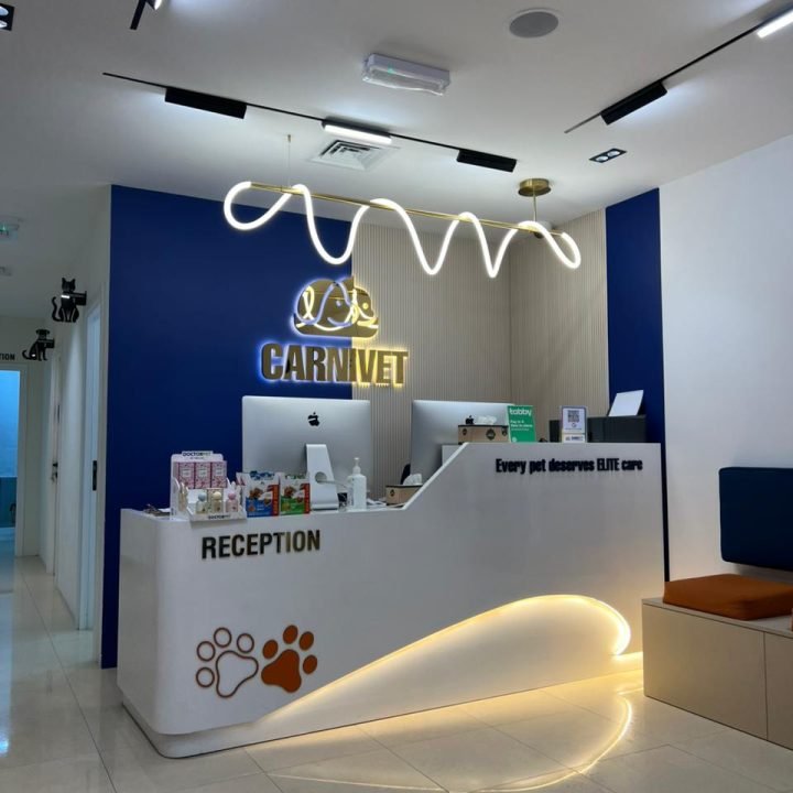 WhatsApp Image 2026-04-02 at 11.35.57 PM (1)