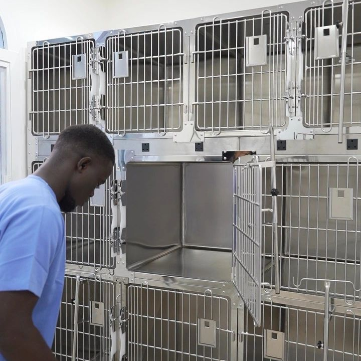 cr=t_0 ,l_0 ,w_100 ,h_100