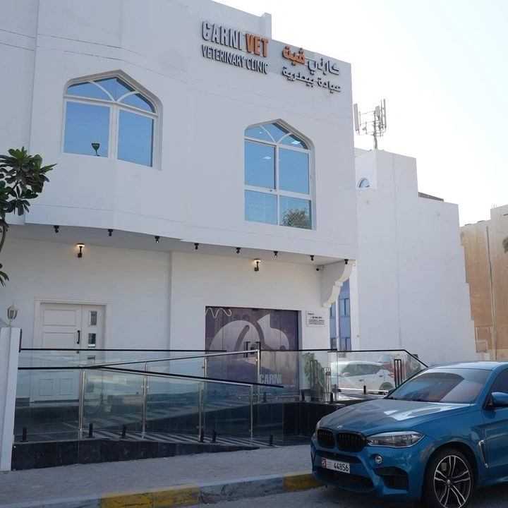 cr=t_0 ,l_0 ,w_100 ,h_100 (4)